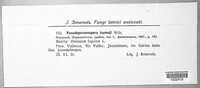 Image Associated With the Occurence